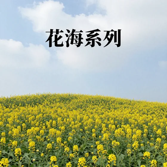 实战经验分享(2026-09-10)